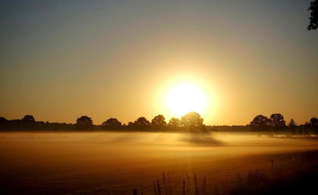 Landgoed Lodges Scholten Linde Rossum  Bagian luar foto