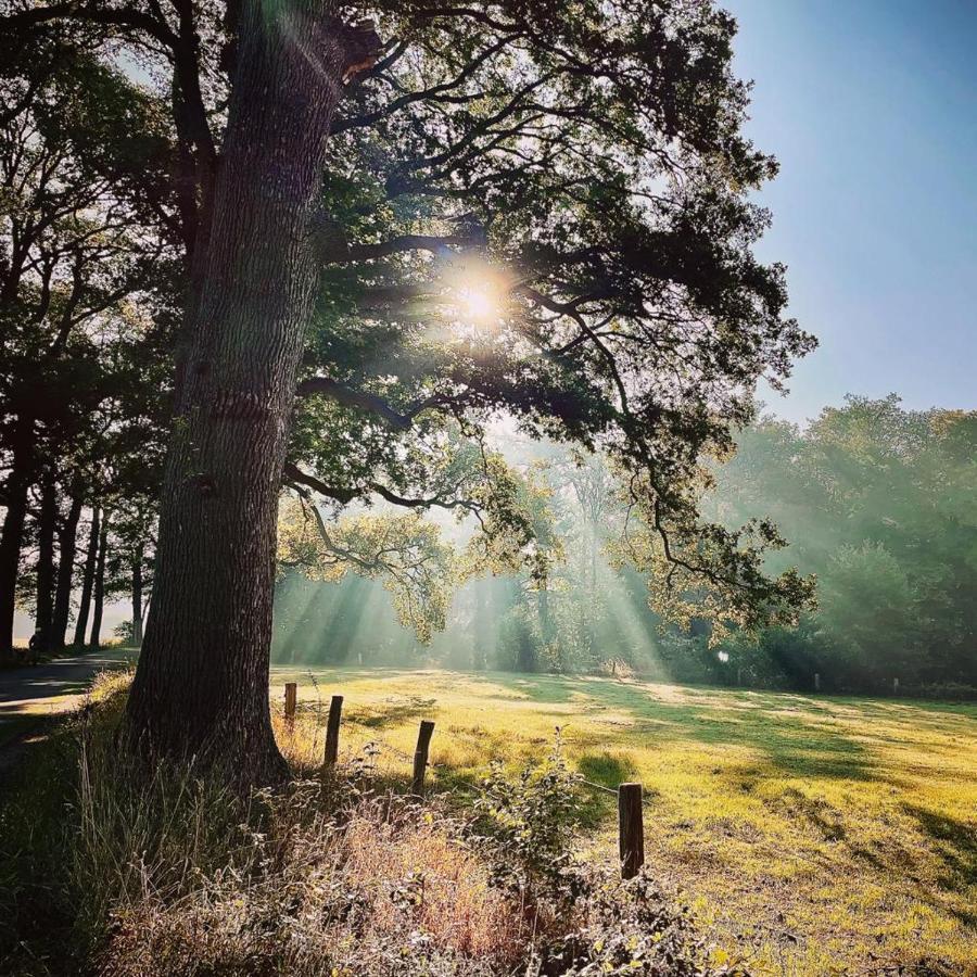 Landgoed Lodges Scholten Linde Rossum  Bagian luar foto